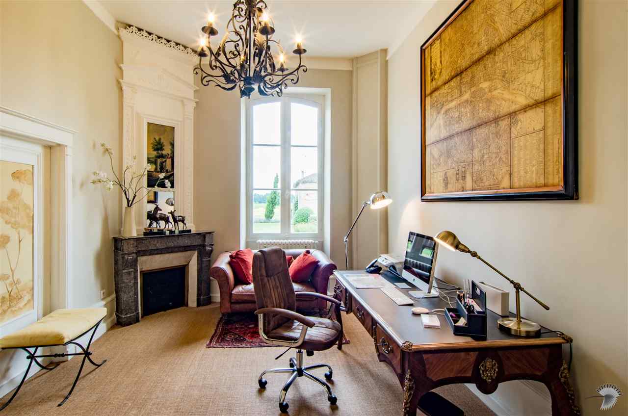 resized-2349823-Bouf (14).jpg